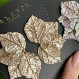 champagne leaves statements